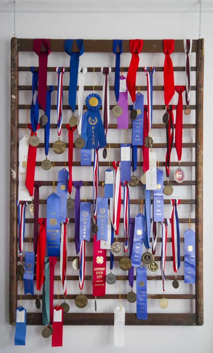 Medal Display Thistlewood Farm