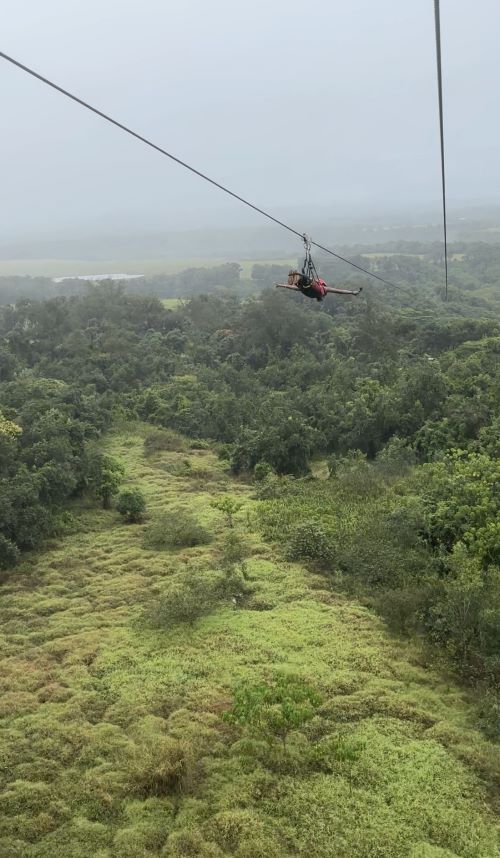 4 Best Kauai Zipline Tours (Tried & Tested)