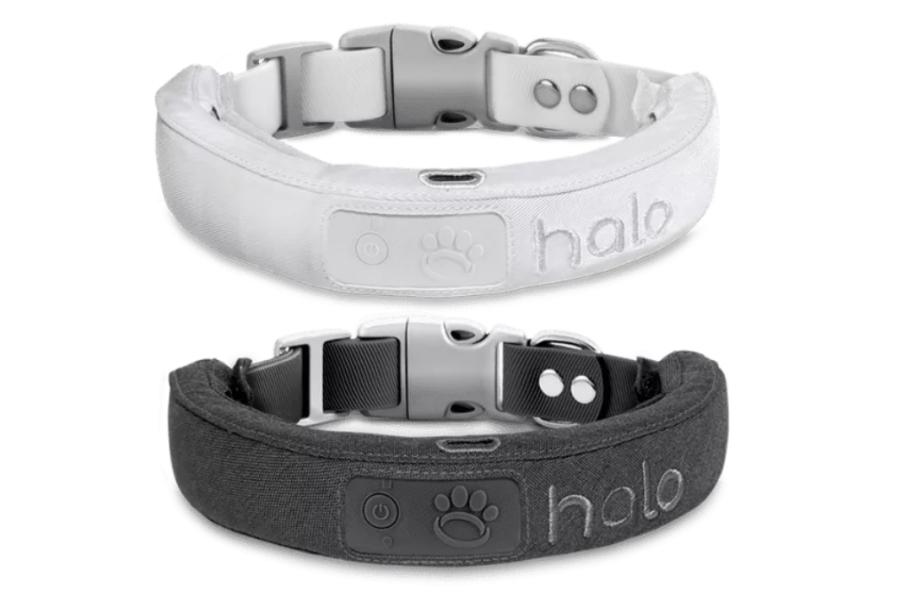 Halo Collar vs. Invisible Fence Which GPS Dog Collar is Better