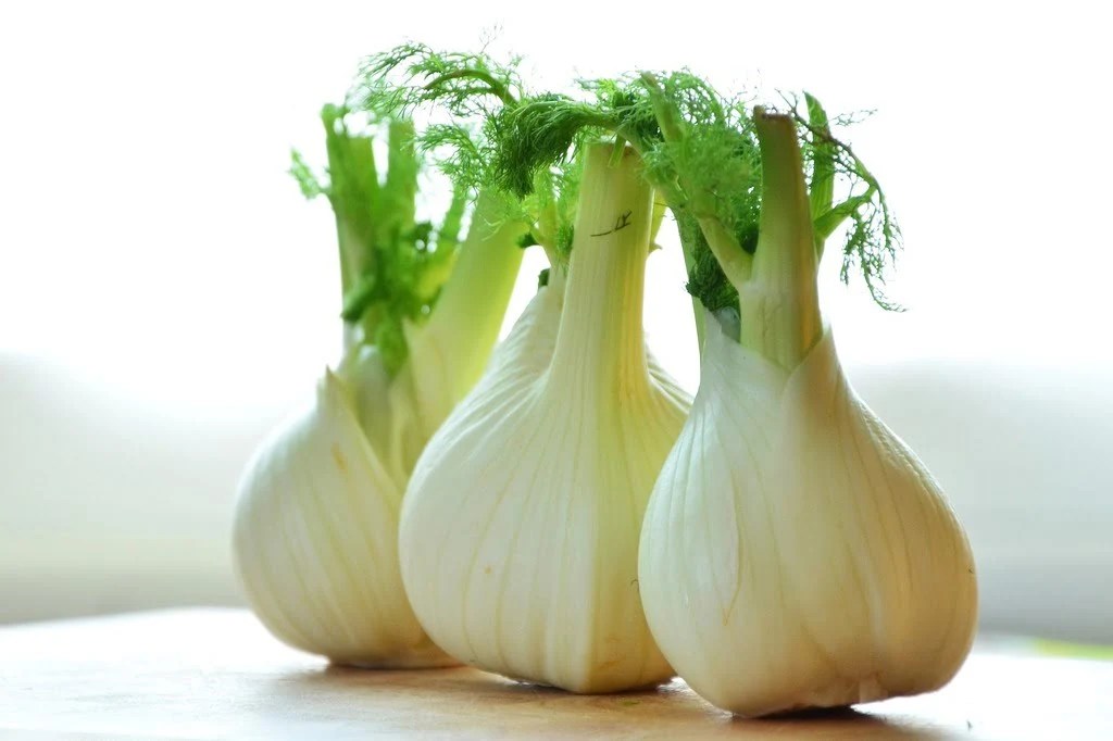10 Most Popular Italian Vegetables This Way To Italy