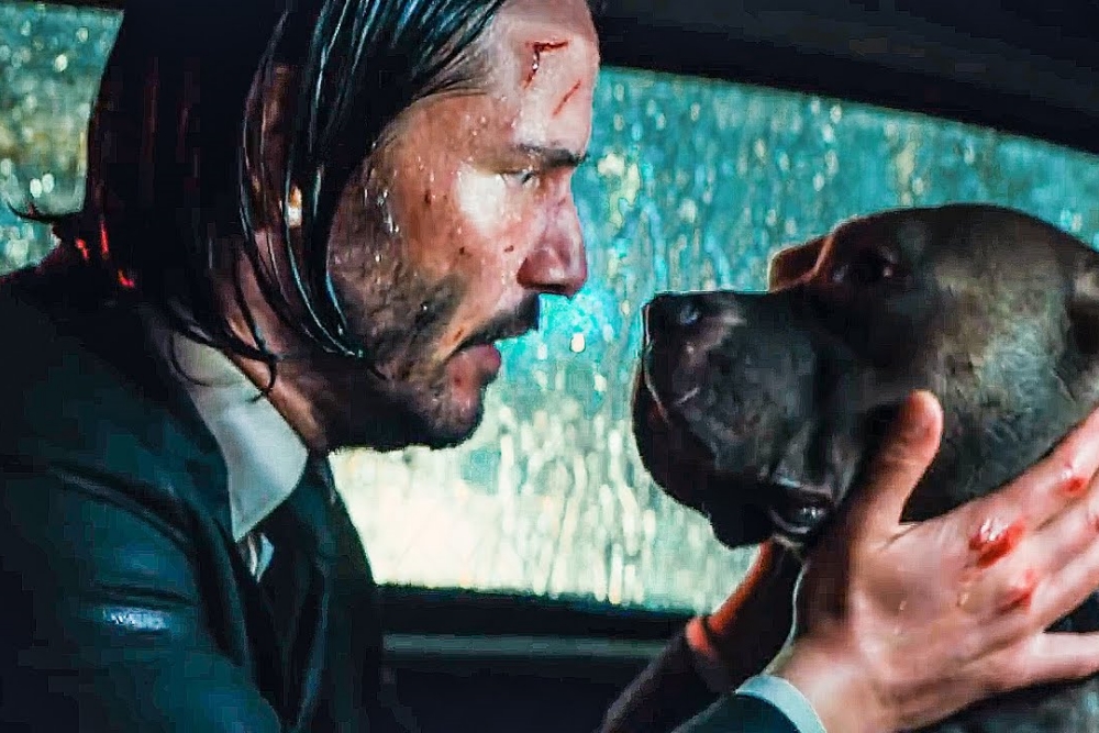 The Significance of John Wick's Dog in the Storyline This Week in