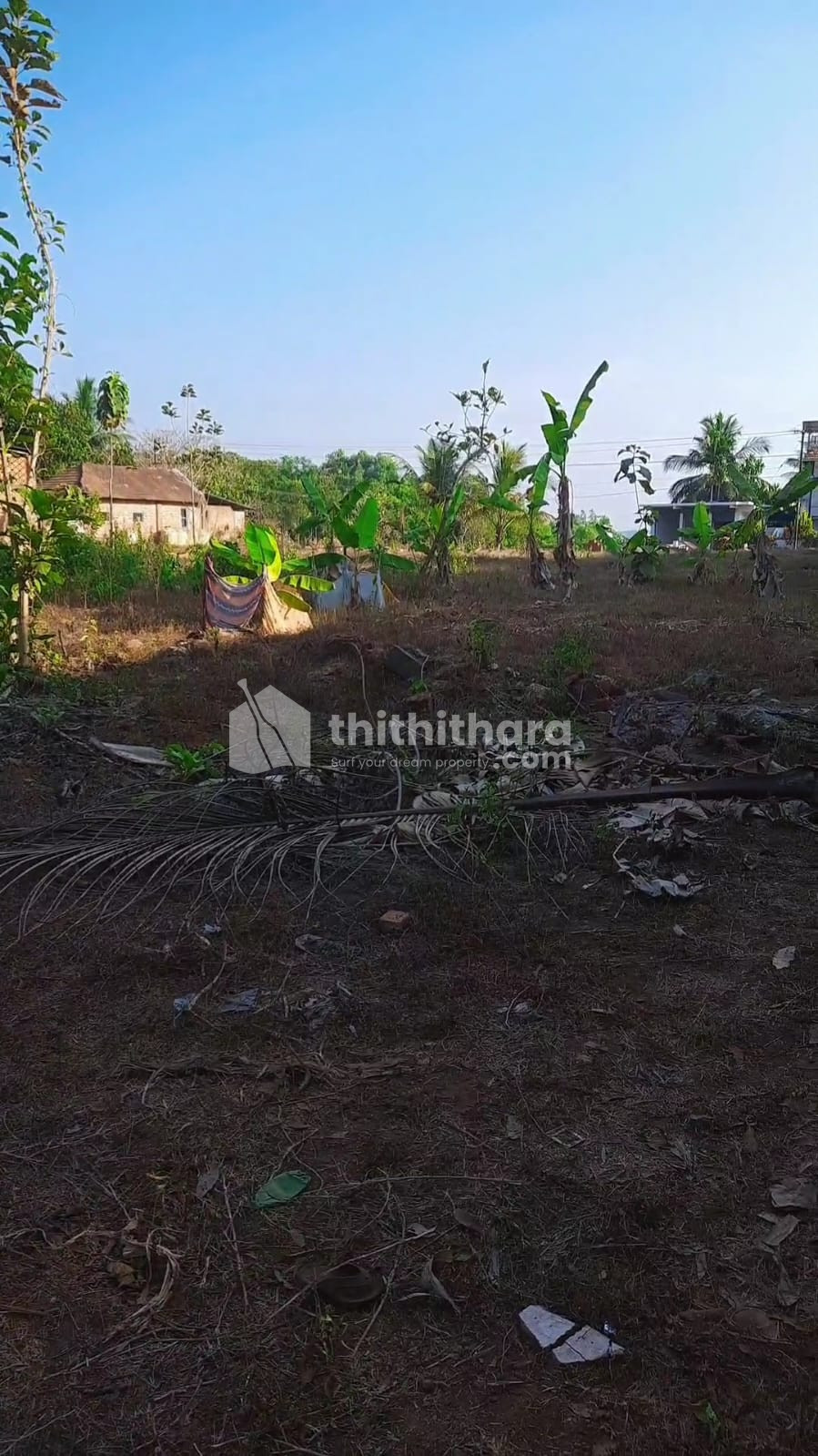 RESIDENTIAL LAND FOR SALE AT PARIYARAM KANNUR