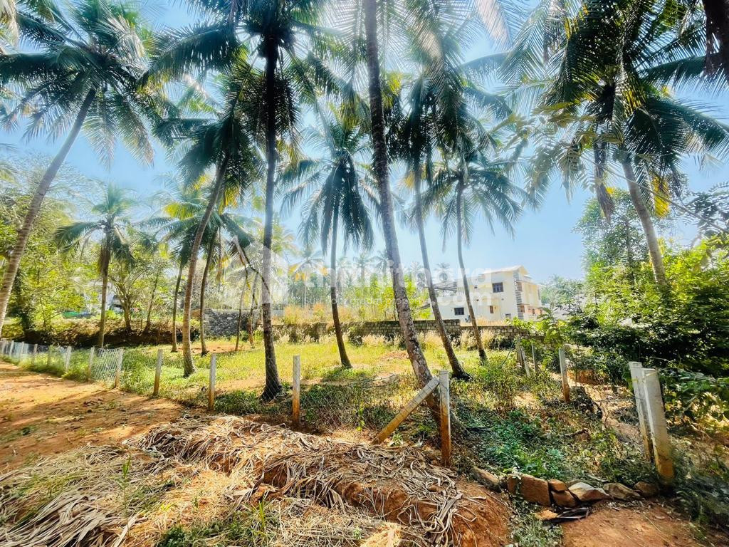 20 cent land for sale in 19th mile, Ottapalam