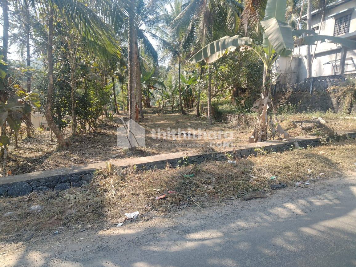 Buy,Sale,Rent Property in Kerala Real