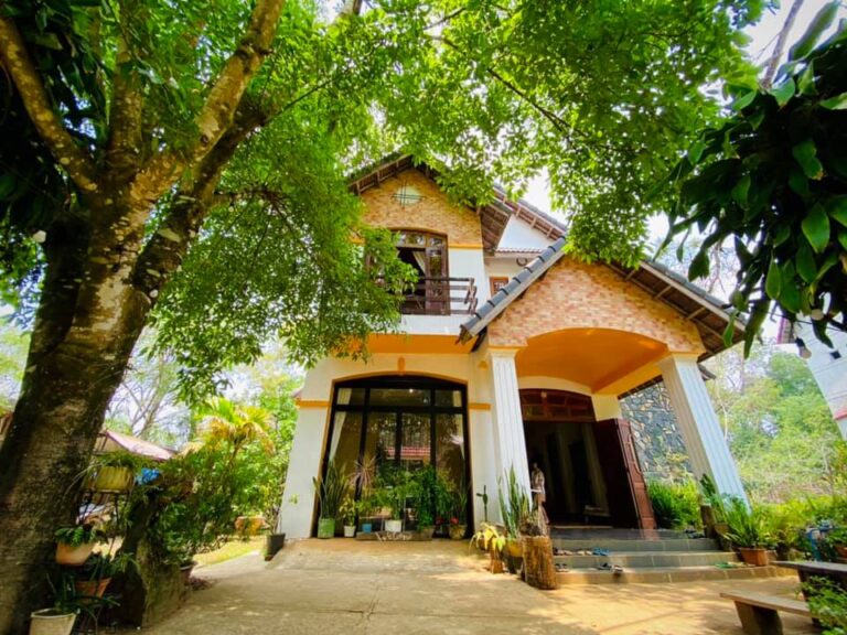 Khám phá Măng Đen OCOP Ẩm thực Du lịch Dược liệu