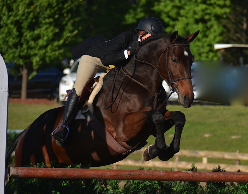 Texas Hunter Jumper Association