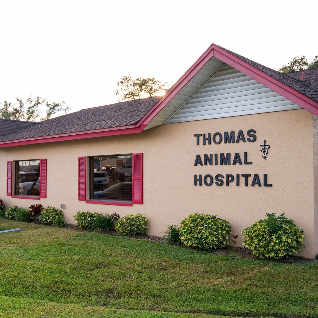Best Animal Hospital In Pinellas Park, FL 33782 Thomas Animal Hospital