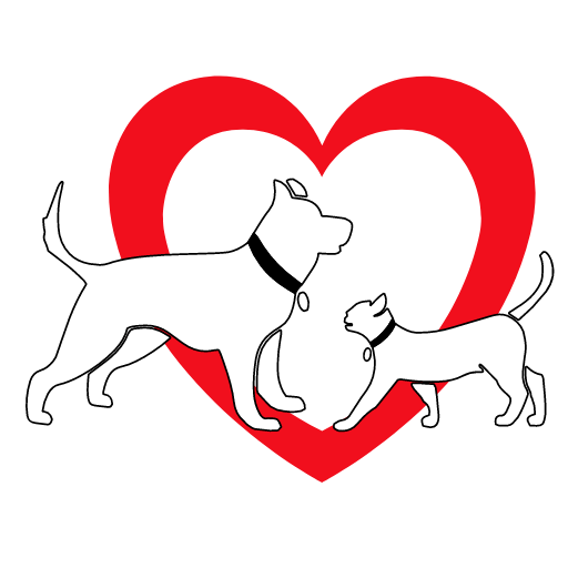 New Client Information Form Thomas Animal Hospital