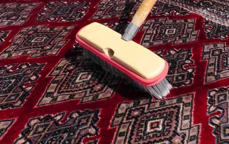 Residential Cleaning Services Carpet and Upholstery Cleaning in