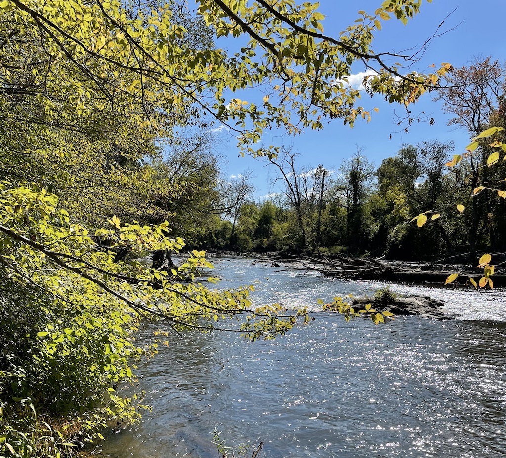 40 Hike Challenge 19 The Haw River Trail My Walk in the Woods