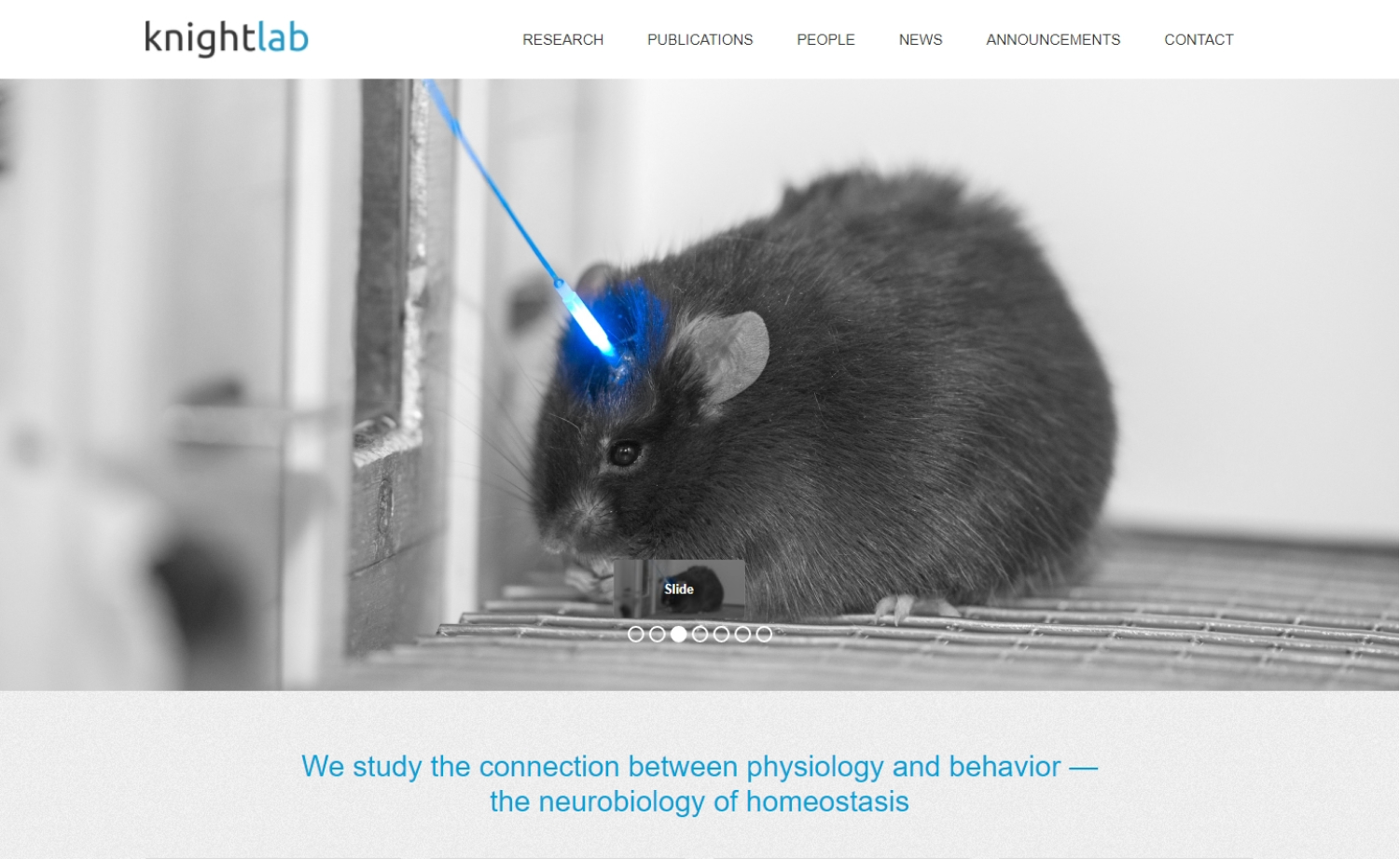 Lab site Design 40 of the Best Lab sites Thomas Digital