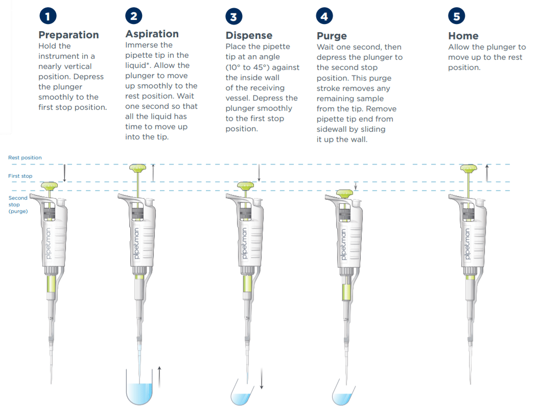 Technical Description Thomas Escobar's Portfolio