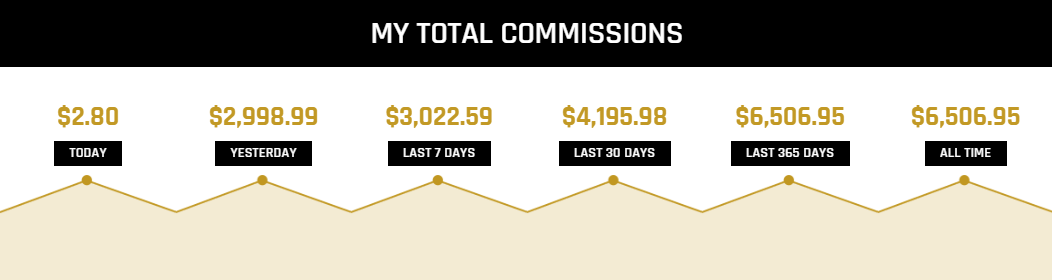 Affiliate Marketing Online Business Results Picture - $2.80 today, $2,998.99 yesterday, $3,022.59 last 7 days, $4,195.98 last 30 days, $6,506.95 last 365 days.