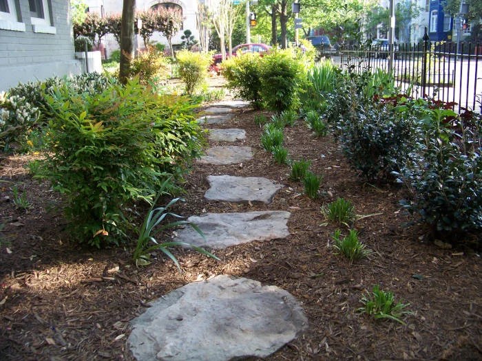 Washington DC Landscape Installation Thomas Landscapes