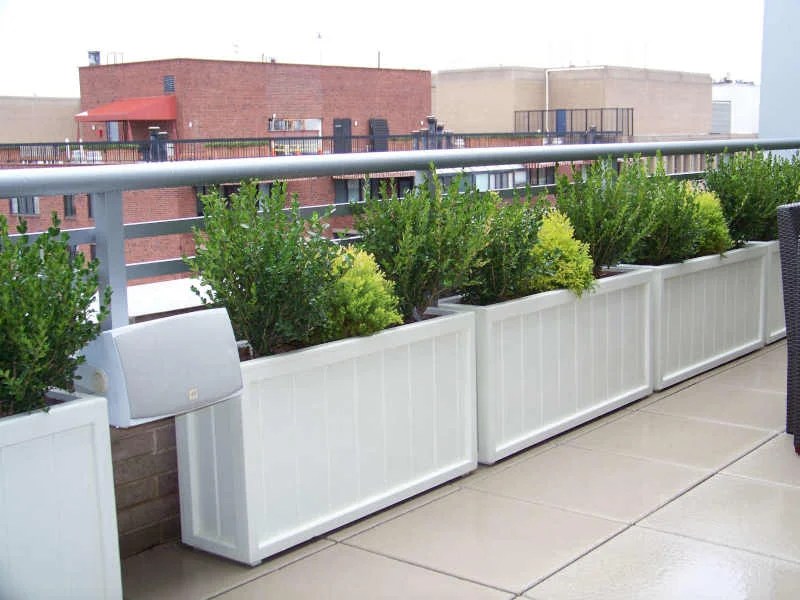 Washington DC Landscape Design Thomas Landscapes