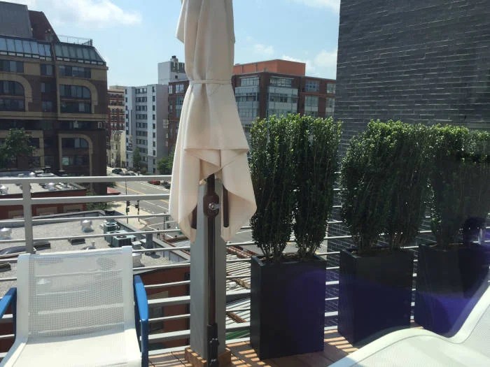 Washington DC Urban Gardens Thomas Landscapes Garden Gallery