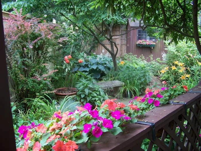 Washington DC Urban Gardens Thomas Landscapes Garden Gallery