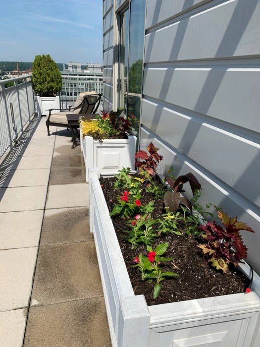 Washington DC Urban Gardens Thomas Landscapes Garden Gallery