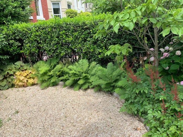 Washington DC Landscape Design Thomas Landscapes