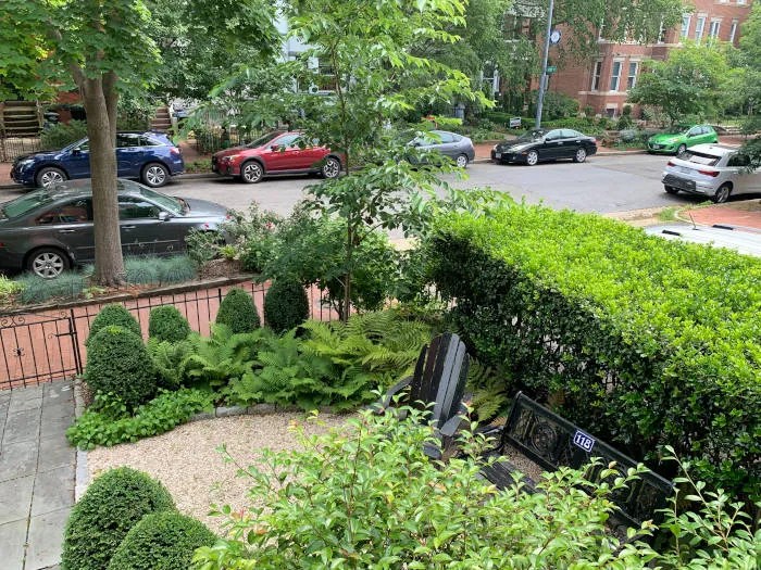 Washington DC Urban Gardens Thomas Landscapes Garden Gallery