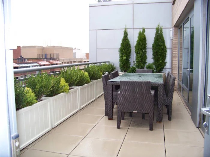 Washington DC Urban Gardens Thomas Landscapes Garden Gallery