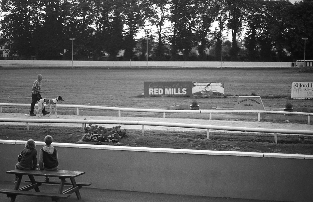 Another Visit to the Dog Track Thomas Peter Flood
