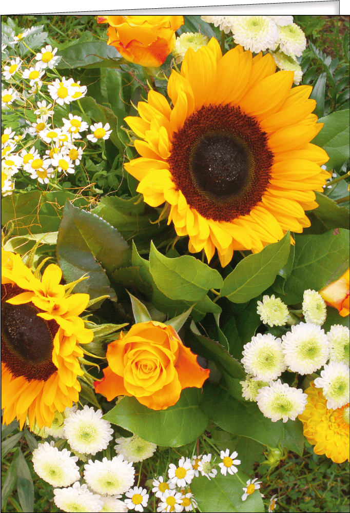 Goldenen Hochzeit „Sonnenblumenstrauß“ Thomas Verlag Leipzig
