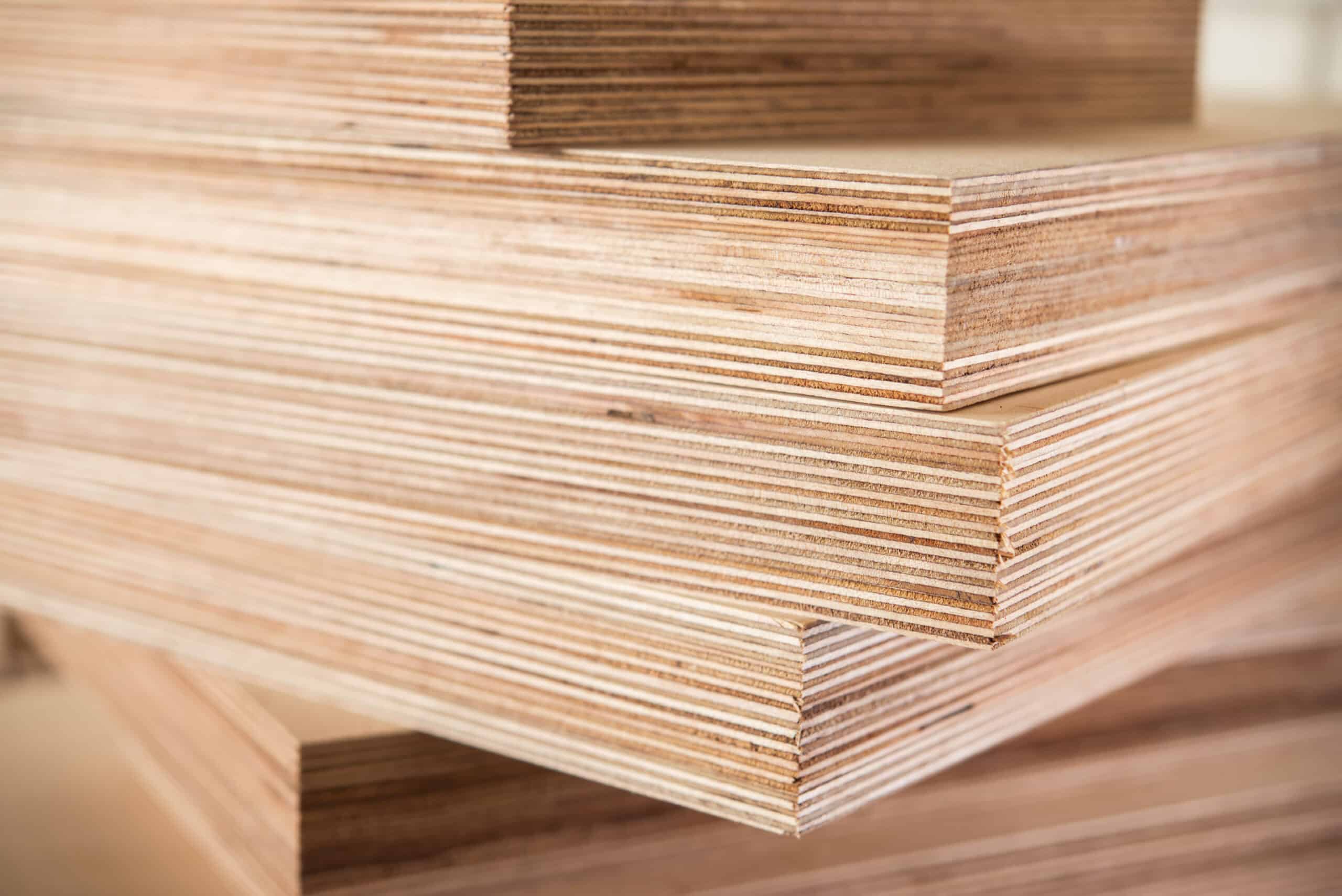 What is Baltic Birch Plywood? Thomes Canada