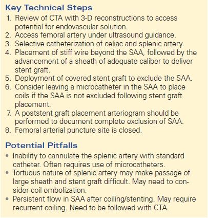 Urgent Finding The Correct Icd 10 Code For Splenic Artery Aneurysm - b7vz5ya