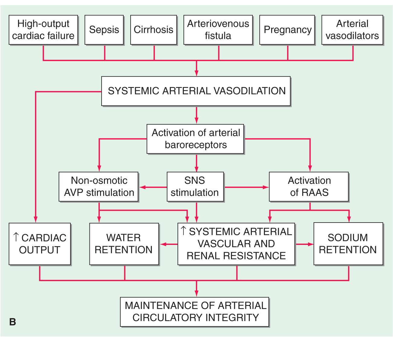Edema Thoracic Key