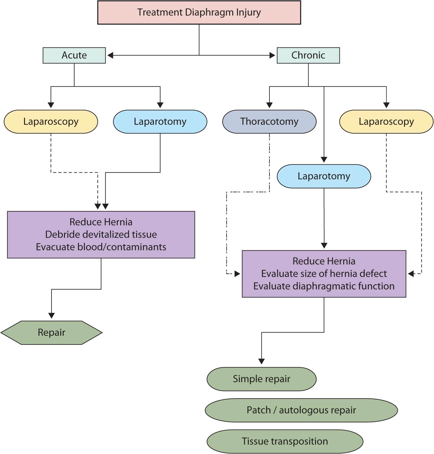 Job interview questions and sample answers list, tips, guide and advice. Diaphragm | Thoracic Key