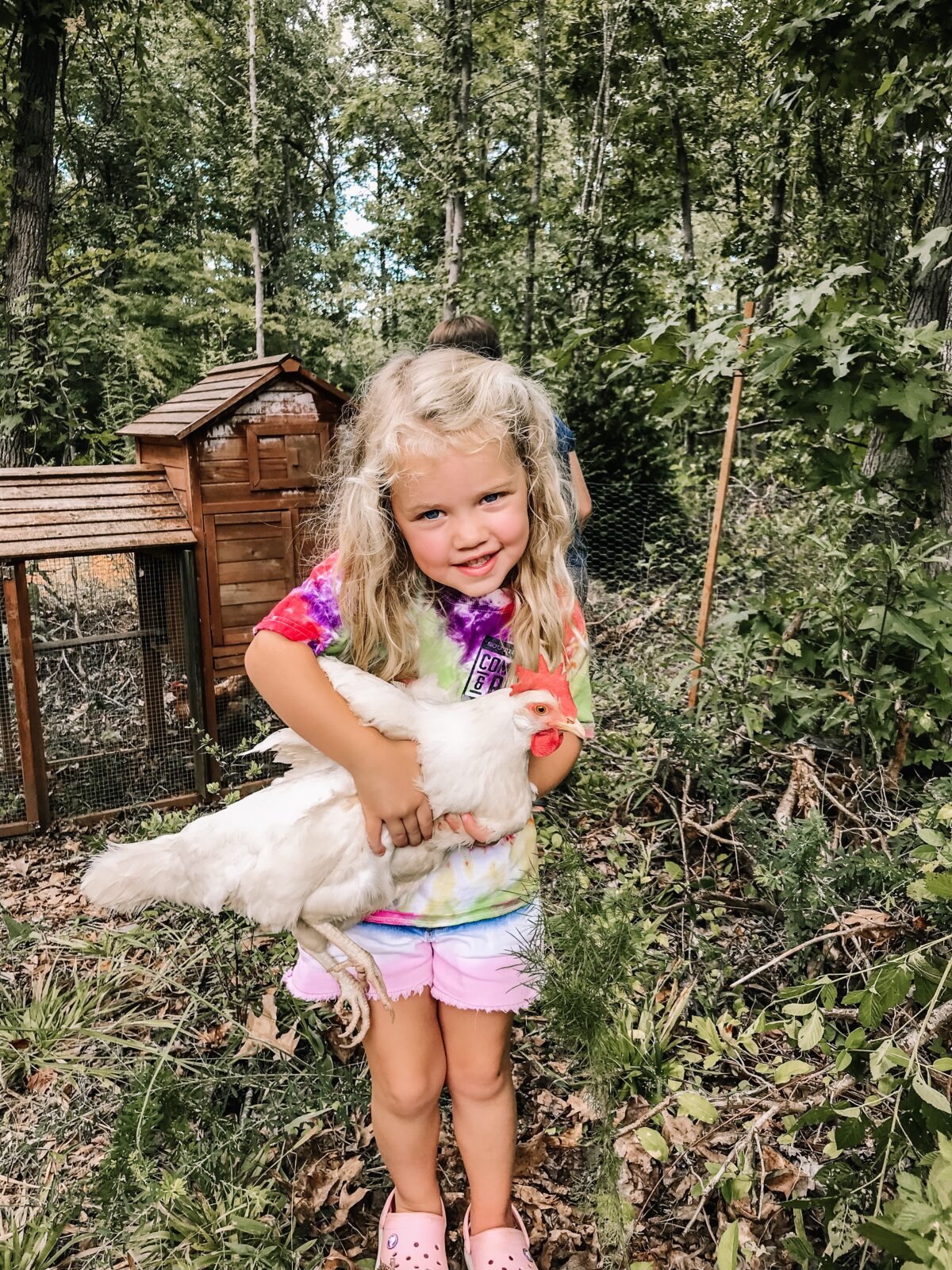 Our Chicken Coop and Barn Thorn Cove Abode