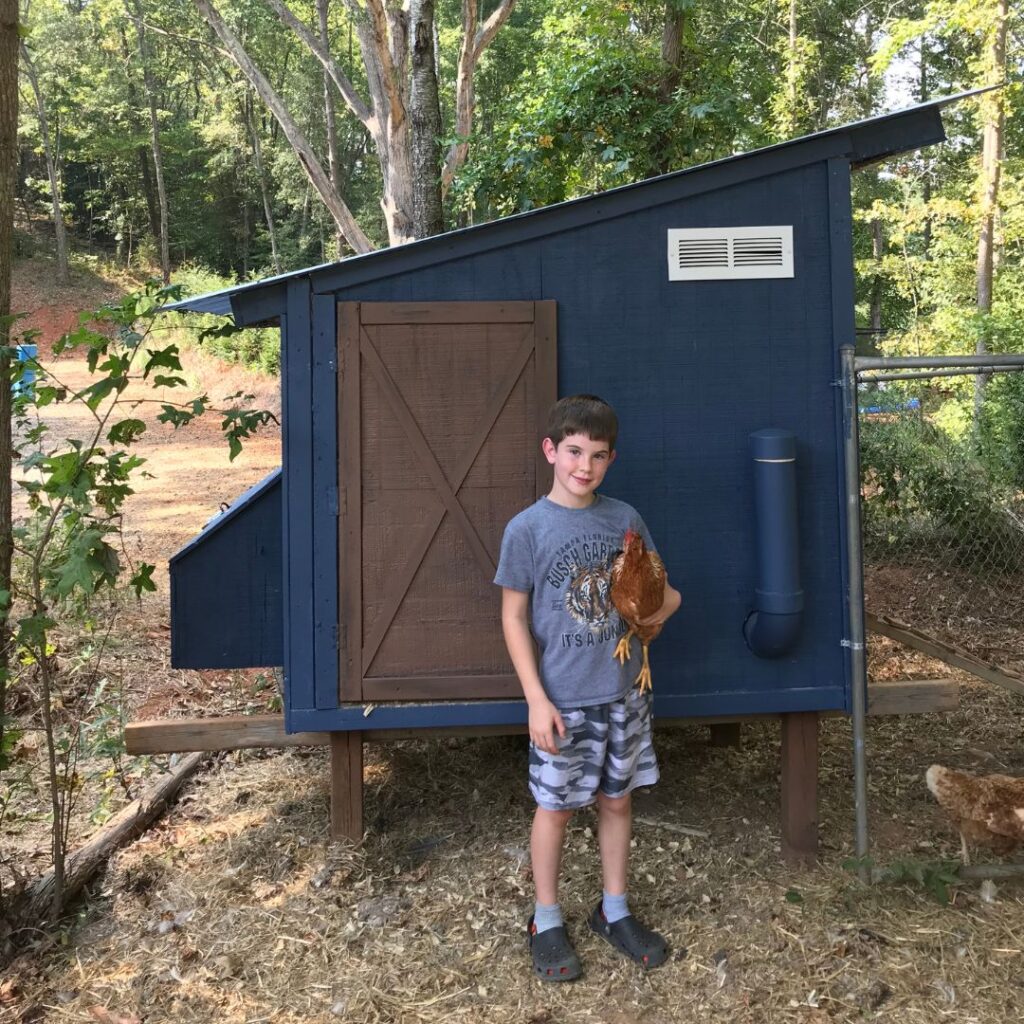 Our Chicken Coop and Barn Thorn Cove Abode