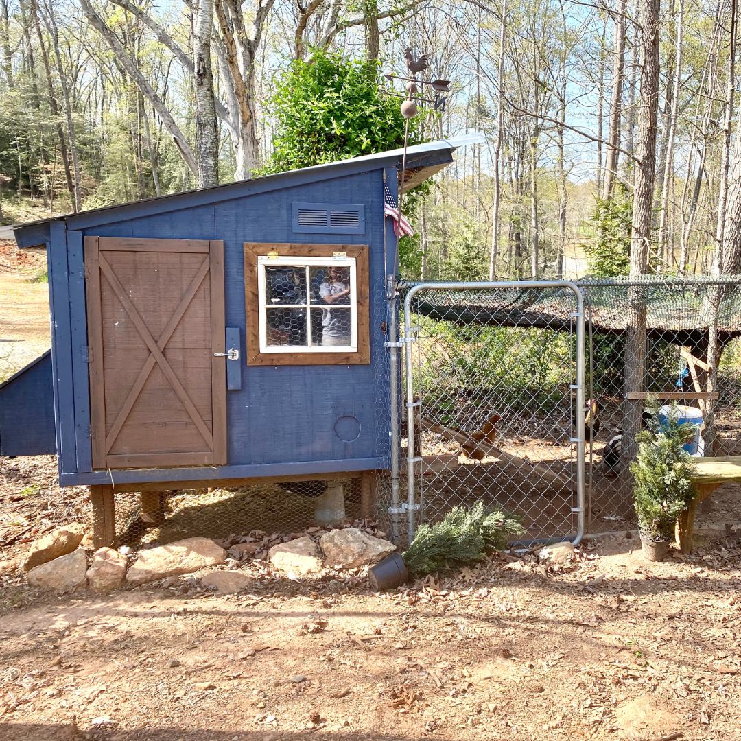 Our Chicken Coop and Barn Thorn Cove Abode
