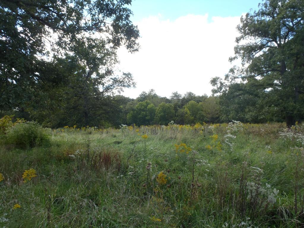 picture4 Thornhill Real Estate & Auction Company