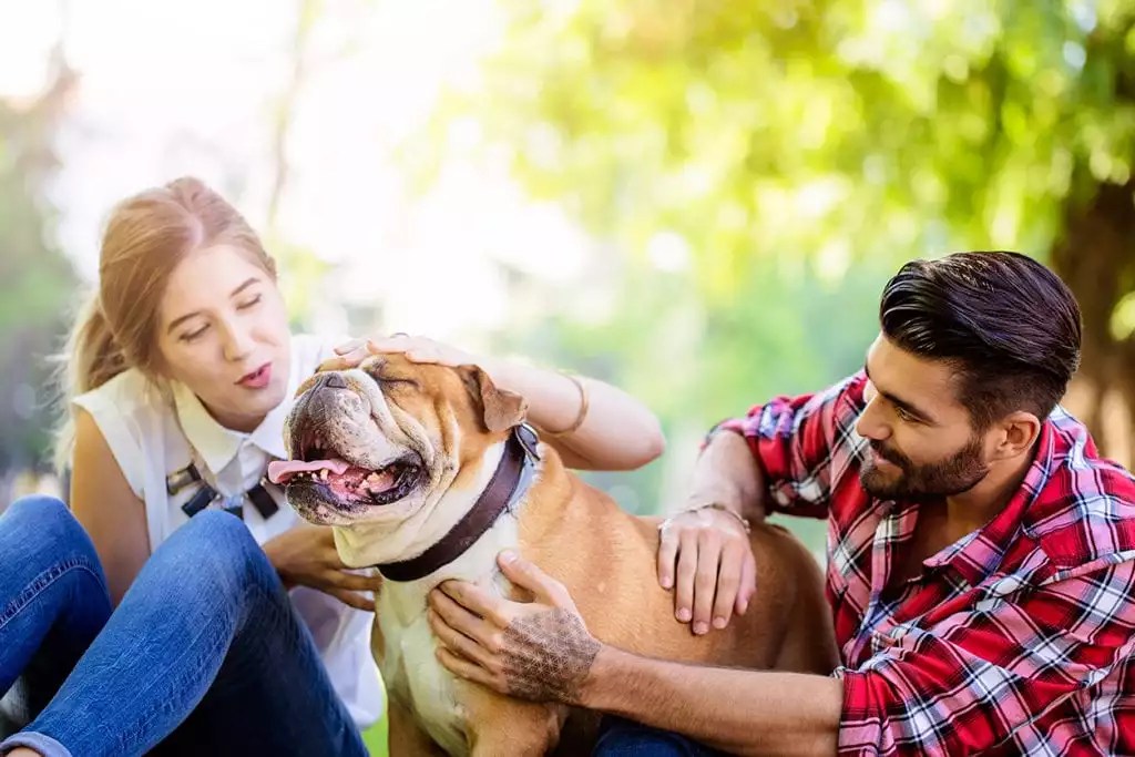 Veterinarian Berkeley, CA Thornhill Pet Hospital