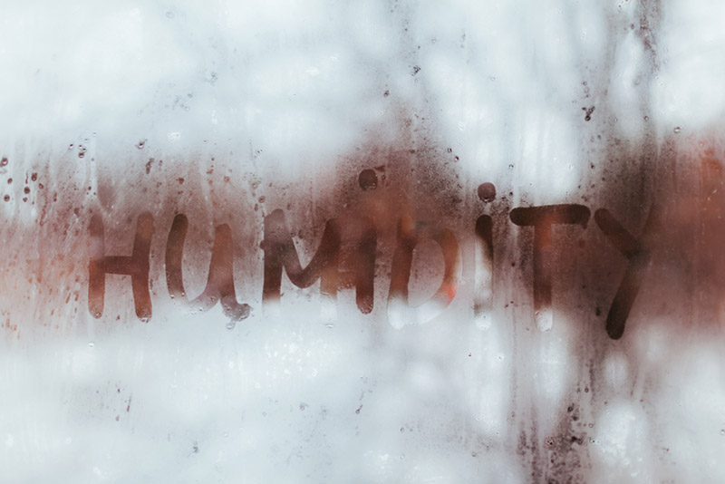 Why Humidity Can Be Bad for Your Home Thornton Heating