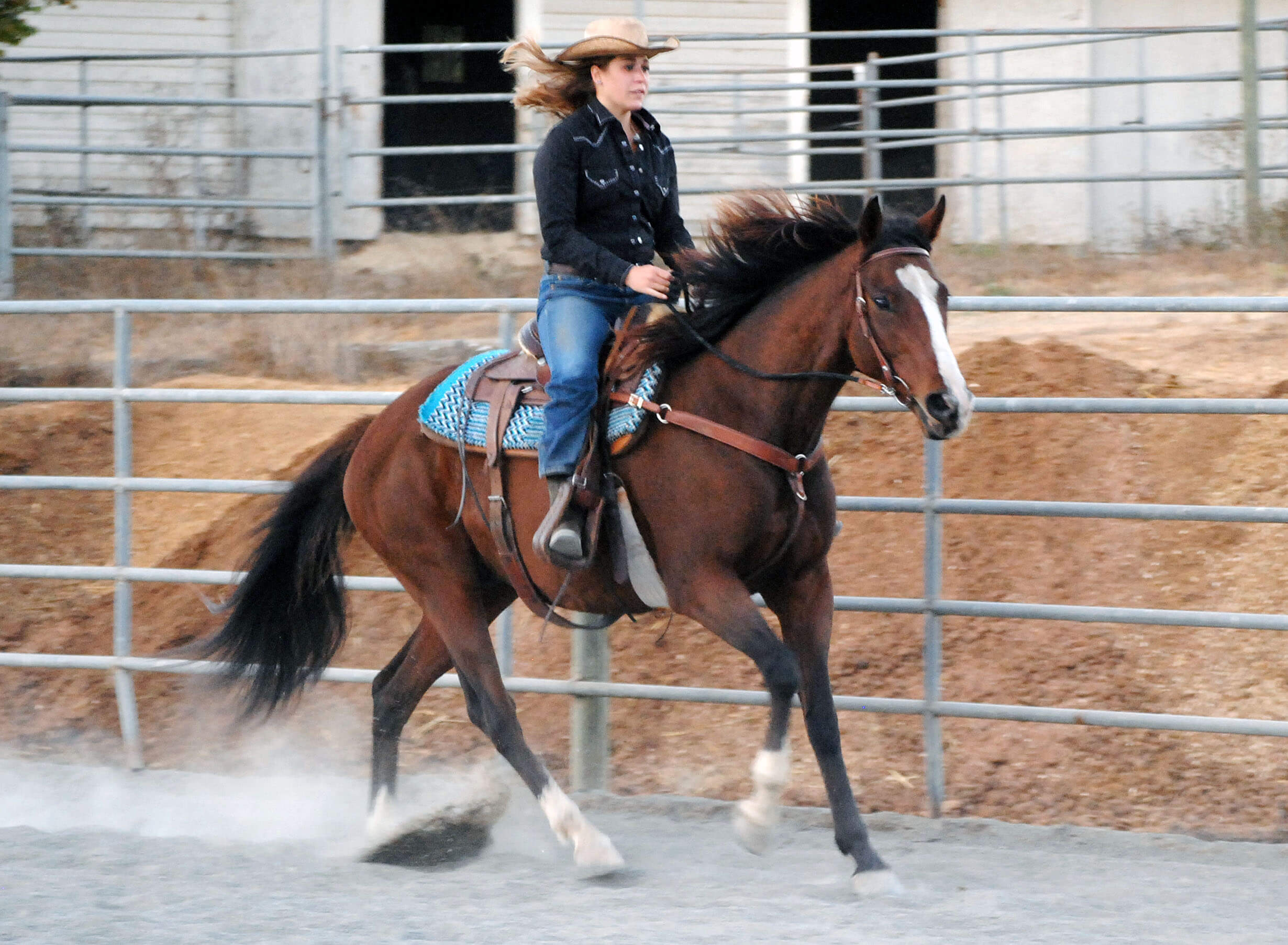 Lope Thoroughbred Classic Horse Show