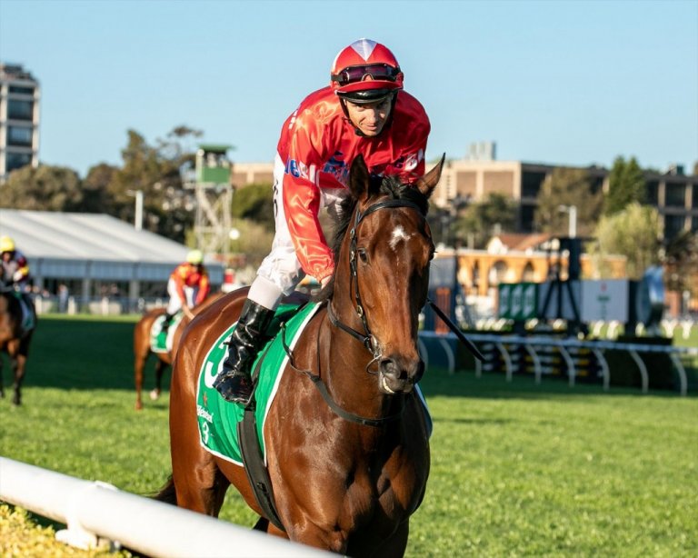 BlueBlood Thoroughbreds Multiple Group One Winning Syndicator