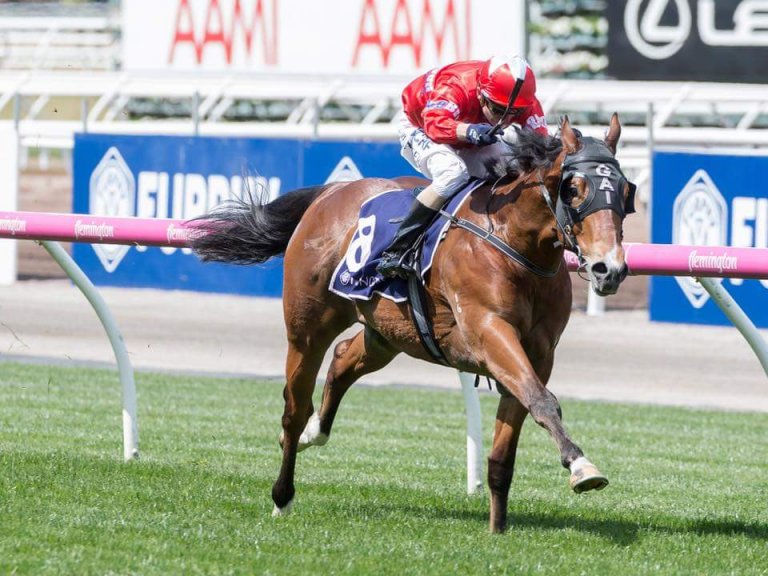 BlueBlood Thoroughbreds Multiple Group One Winning Syndicator