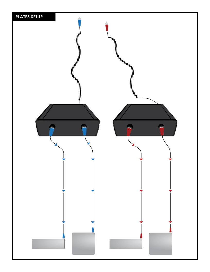 Plates Thorp Institute