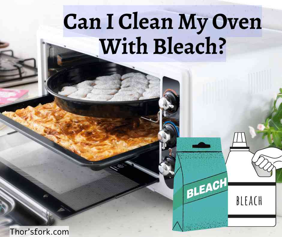 Can I Clean My Oven with Bleach? THOR'S FORK