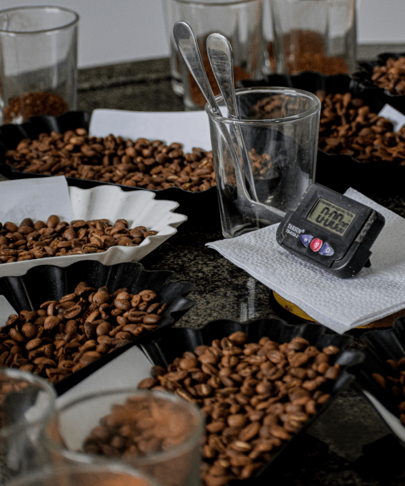 How Much Do Green Coffee Beans Cost? And How Are They Priced?
