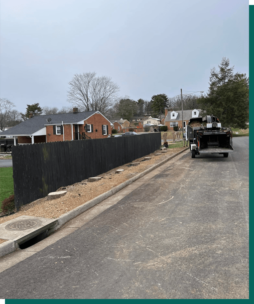 Tree Service in Vinton, VA Those Tree Guys, LLC