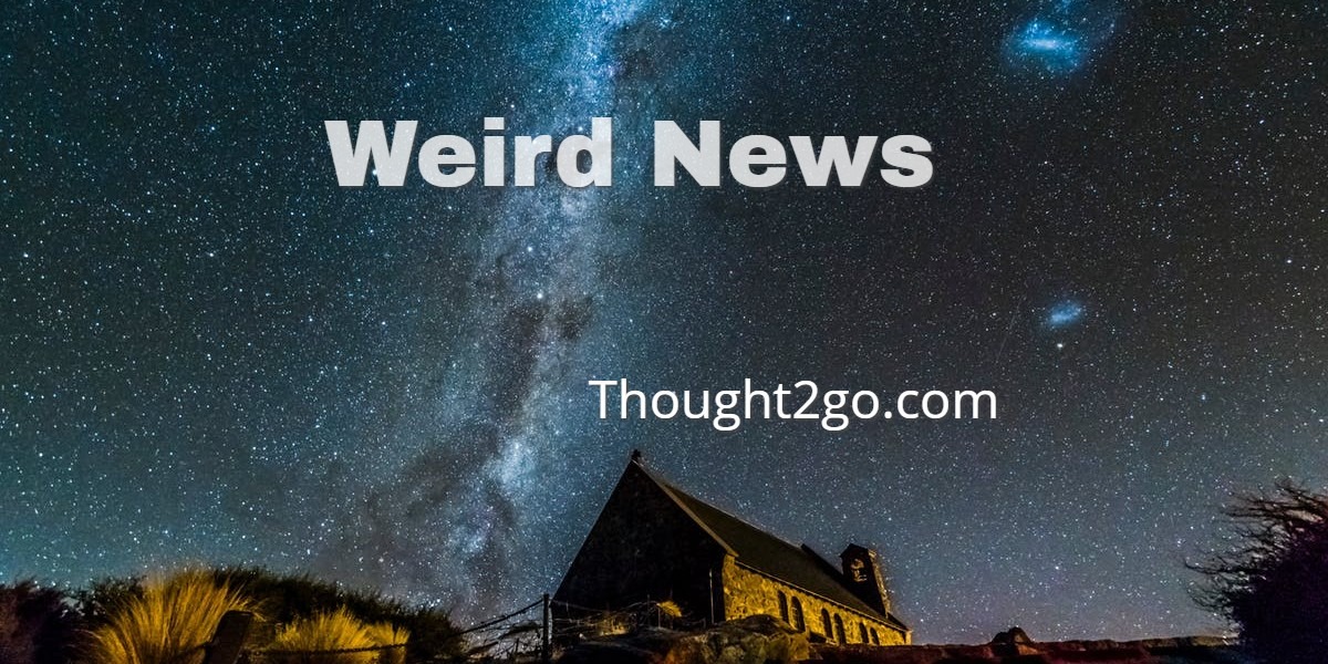 WeirdNews