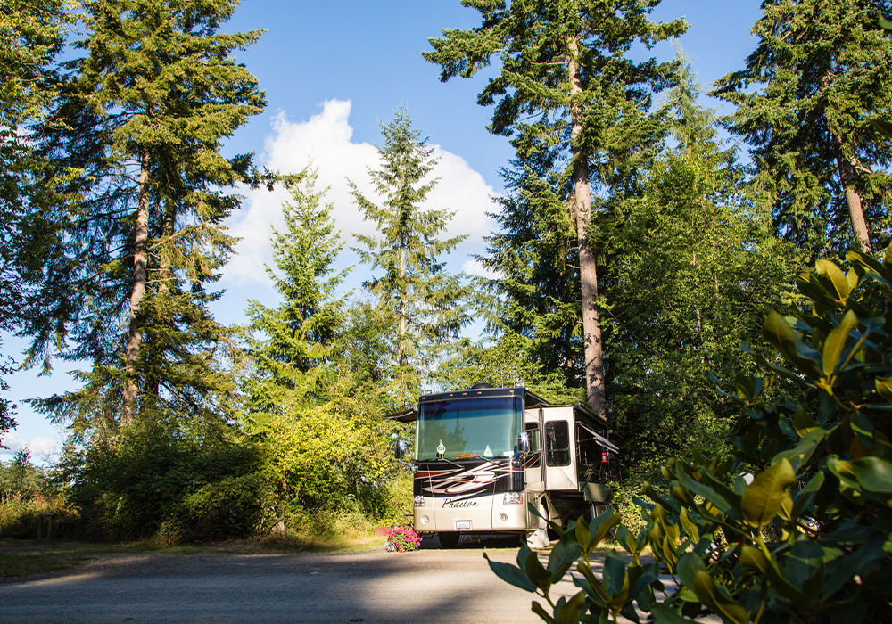 Thousand Trails Chehalis RV Resorts in Washington