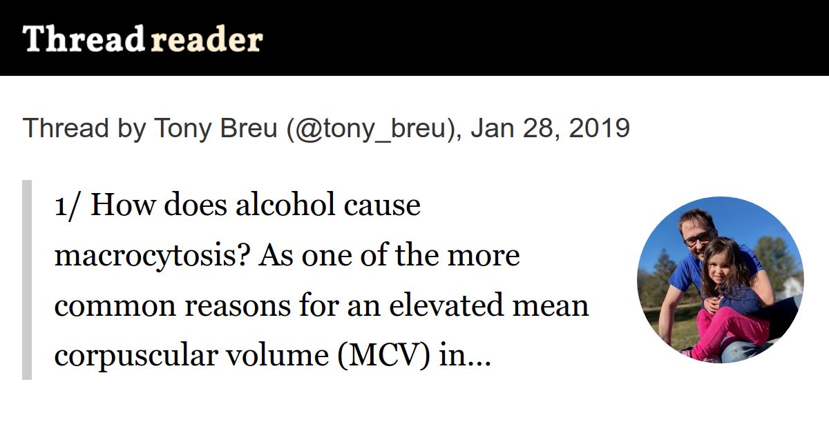 Thread by tony_breu "1/ How does alcohol cause macrocytosis? As one