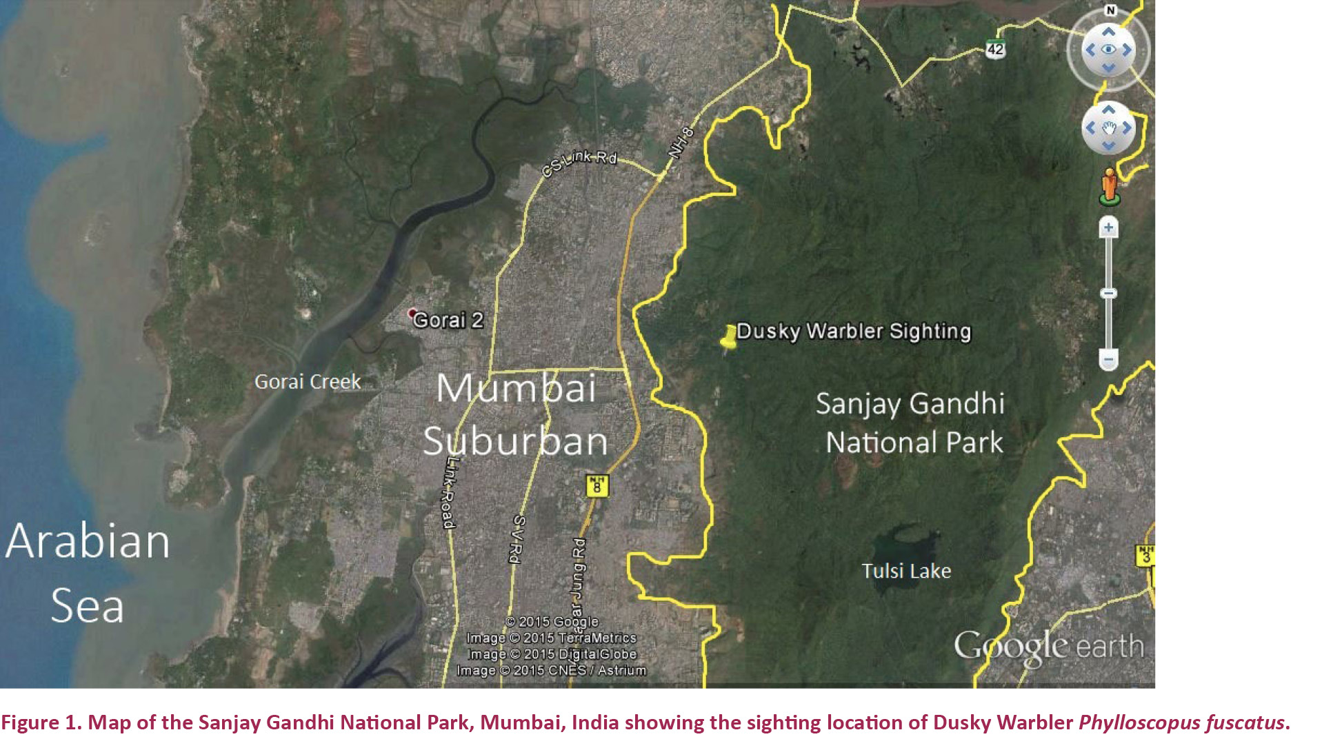 Sanjay National Park Wikipedia