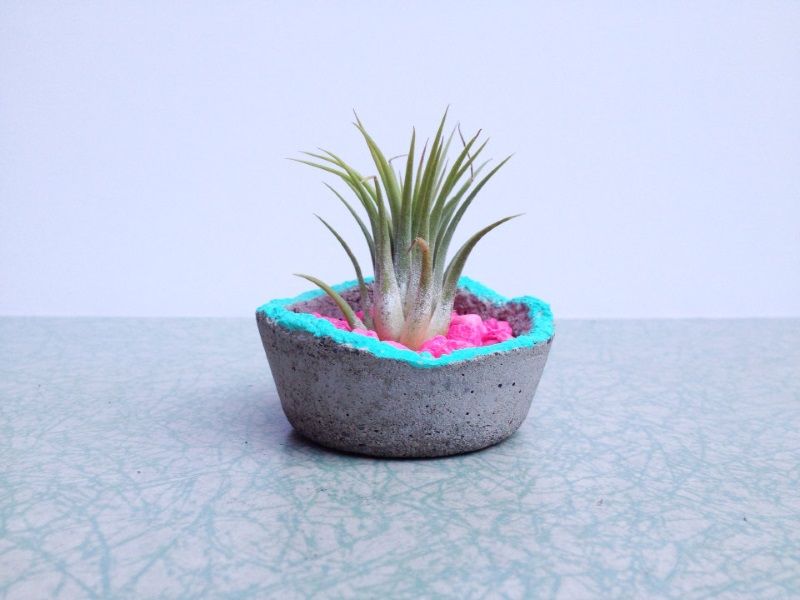 Beautify your garden with these fancy flower pots