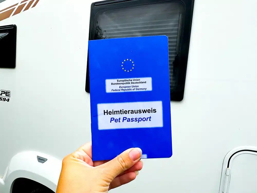How To Get A Pet Passport Post Brexit